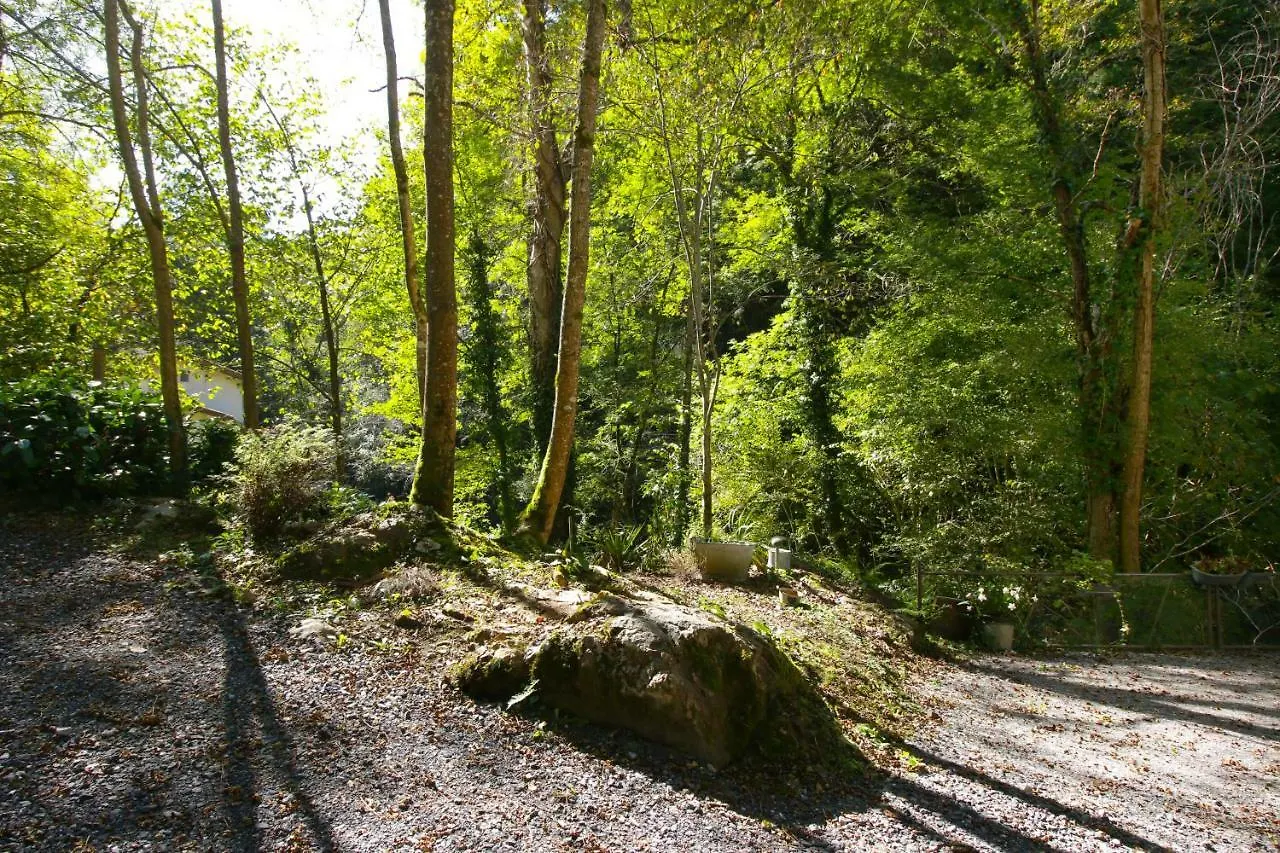 Guest house Au Moulin Hotel Esbareich